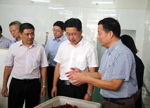 市委書記陳金彪來我公司調研